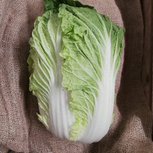 Chinakohl, 6 kg