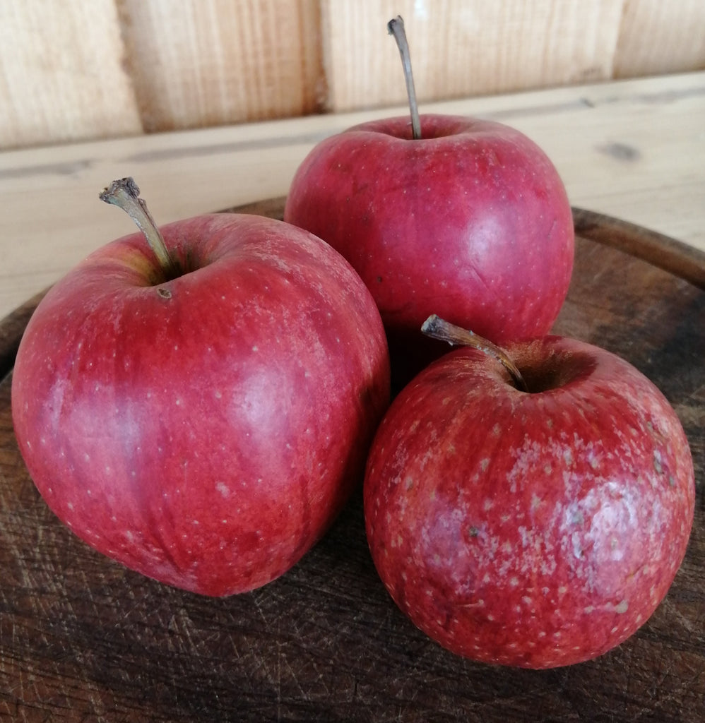 Apfel "Topaz", 10 kg