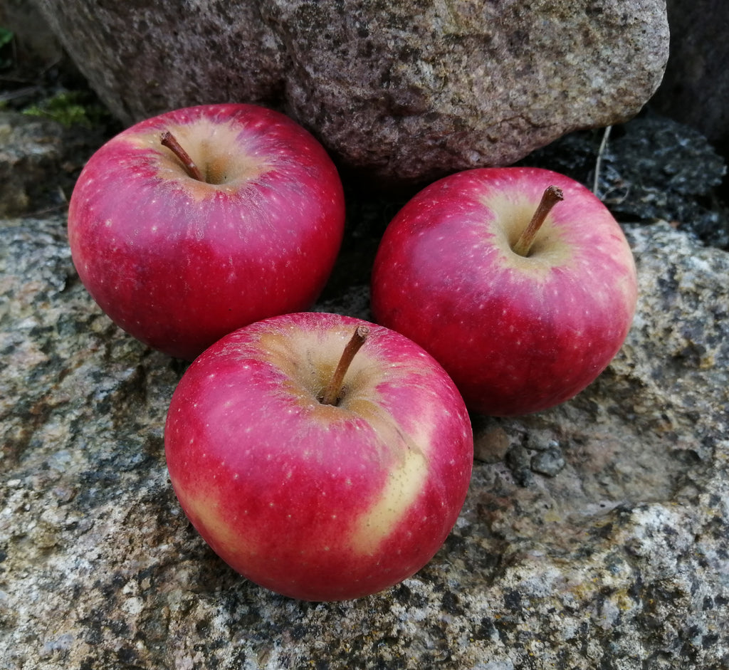 Apfel "Natyra", 10 kg