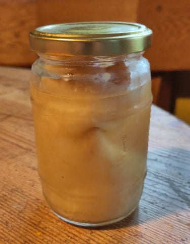 Kombucha Pilz Glas