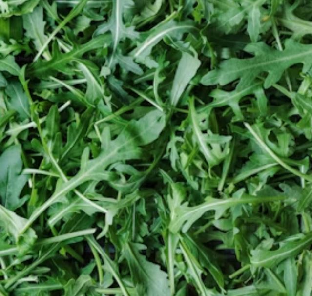 Rucola lose
