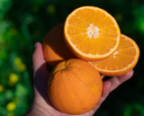 Bio Demeter Orangen (Navelina) aus permakultureller Landwirtschaft - 10 kg