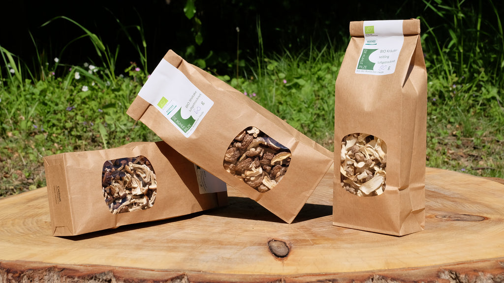 Bio Austernseitling (luftgertocknet)