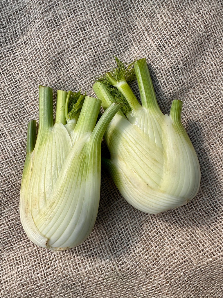 Bio Fenchel