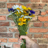 Feldblumenstrauß gebunden, 5 Stück