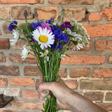 Feldblumenstrauß gebunden, 5 Stück