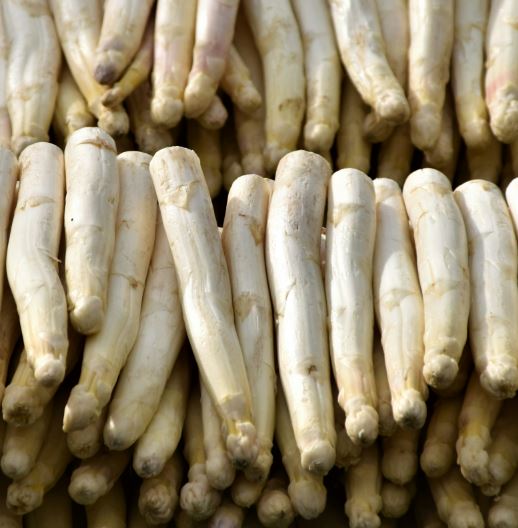 Spargel Hkl. II 5kg, weiß/violett