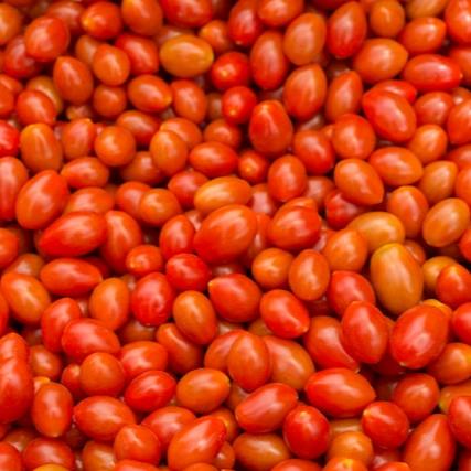 Tomaten rot rund