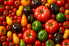 bunter tomaten mix