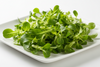 Schnittsalat