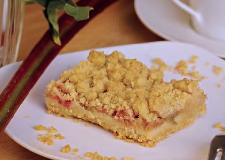 Rhabarber-Streusel -vegan-