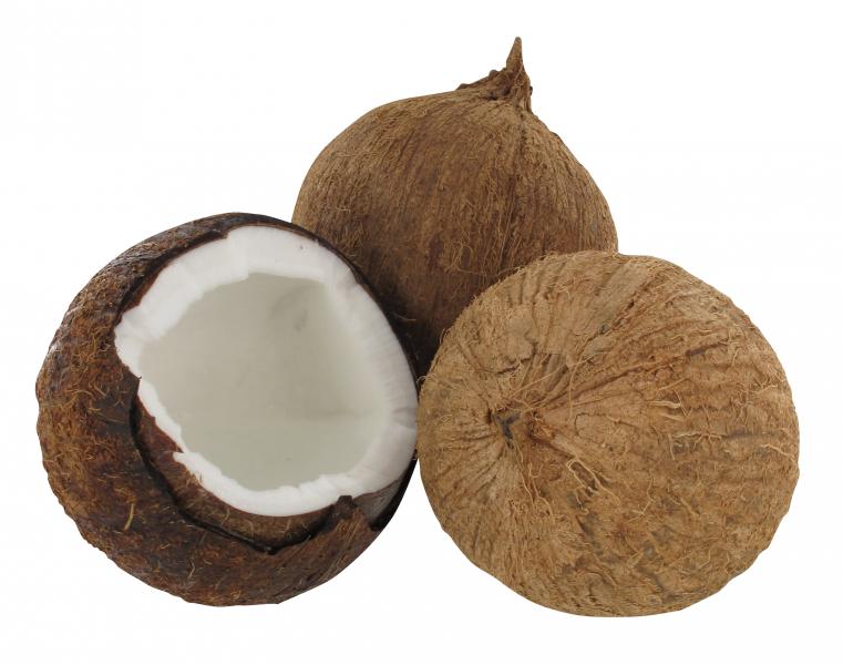 BIO Kokosmehl 500 gr - teilentölt, glutenfrei, laktosefrei von pure@altai