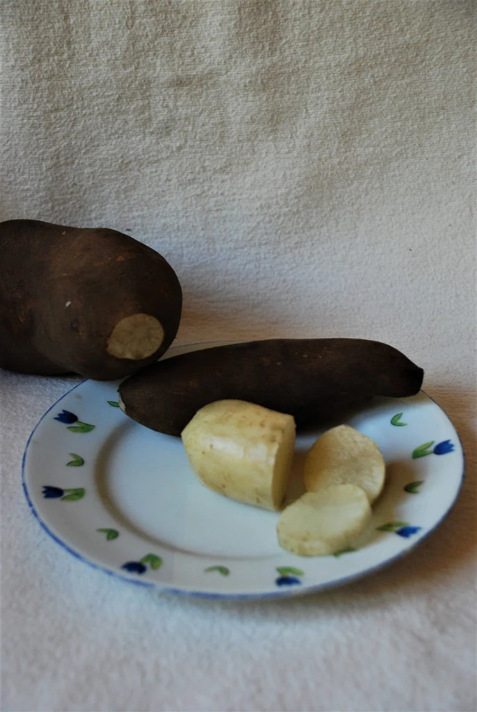 Yakon Knollen 1kg